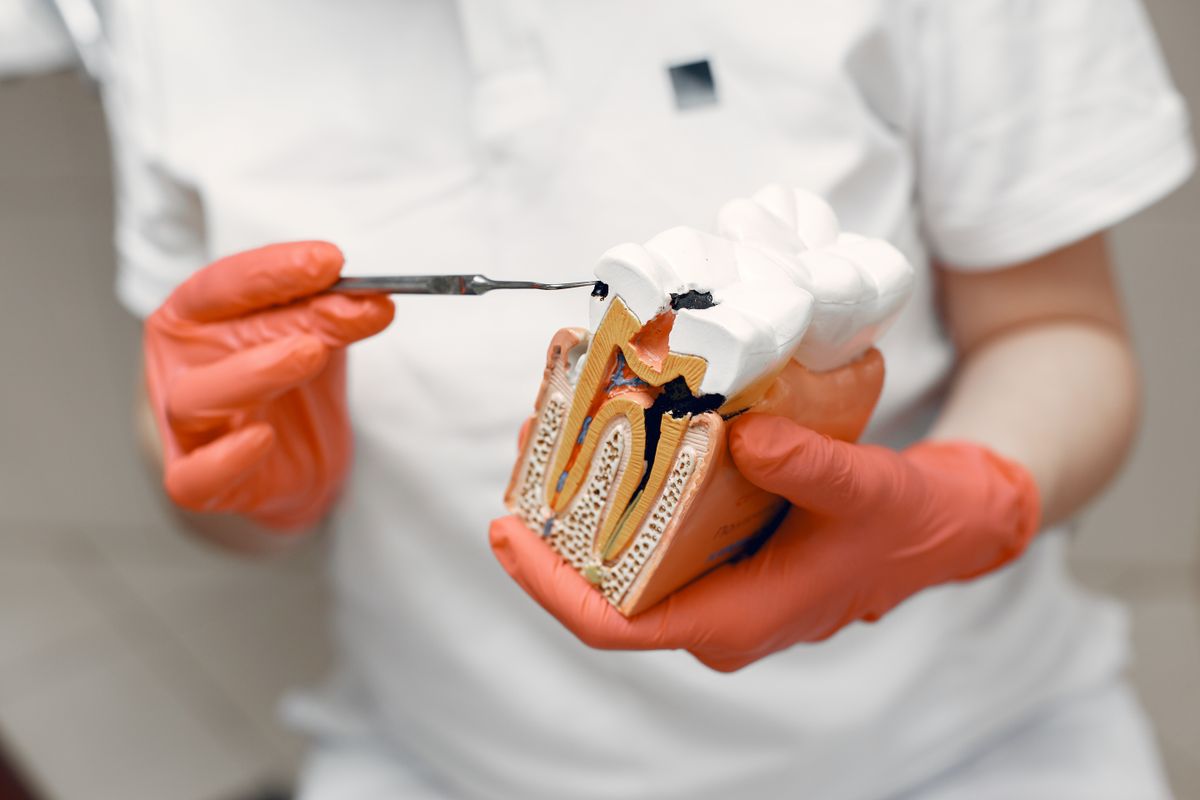 Endodontia